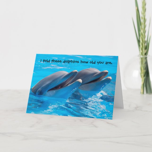 Funny Dolphins Birthday Card (Front)