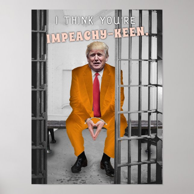 Funny Donald Trump Impeachment Prison Humour Poster (Front)