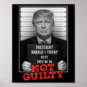Funny Donald Trump Not Guilty Mug Shot, Free Poster