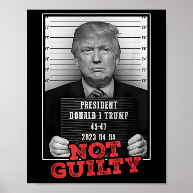 Funny Donald Trump Not Guilty Mug Shot, Free Poster (Front)