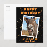 Funny donkey birthday