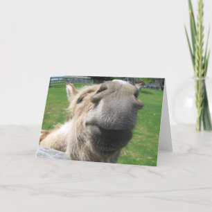 Funny Donkey Close Up Card