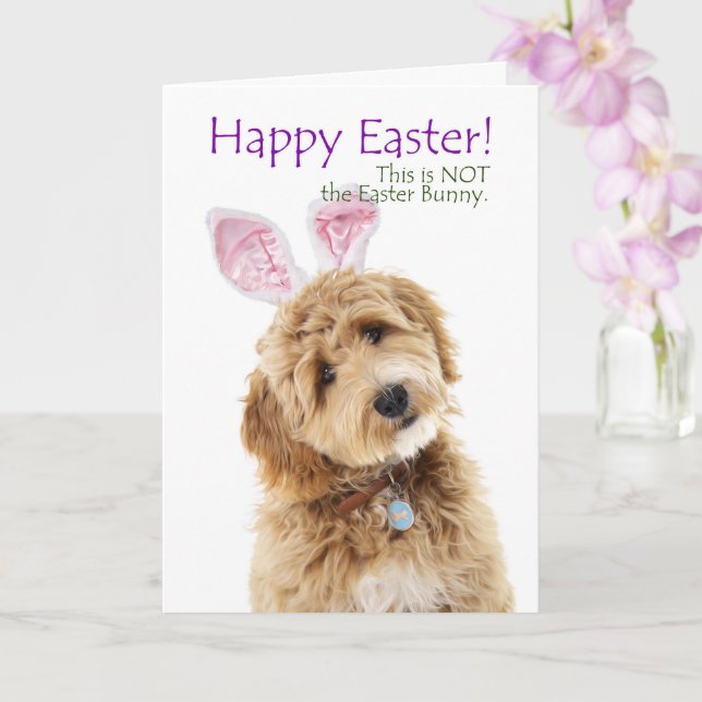 Funny Doodle Dog Easter Card (Orchid)