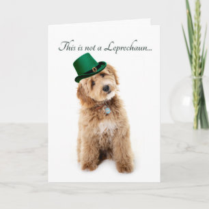 Funny Doodle St. Patricks Day Card