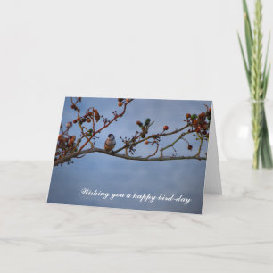 Funny double-barred finch birthday card