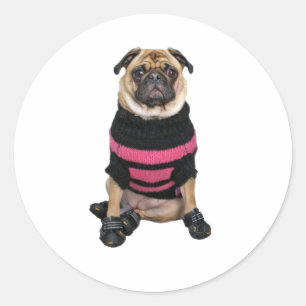 Funny dressed up pug dog with sweater and boots classic round sticker