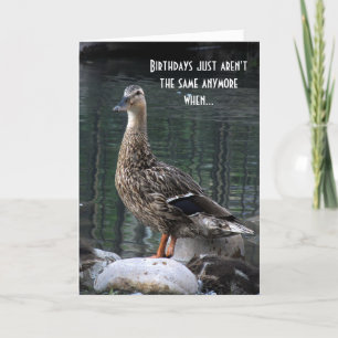 Funny Duck Birthday Card