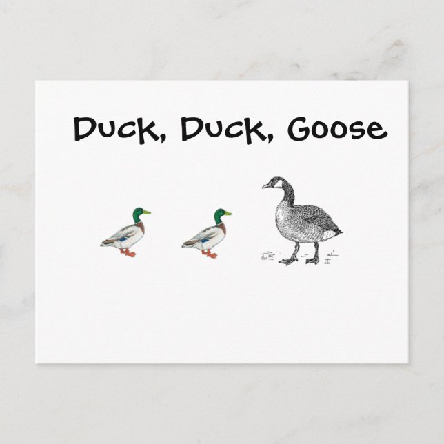 Funny Duck Duck Goose Cartoon, Kids Game Pun Postcard (Front)