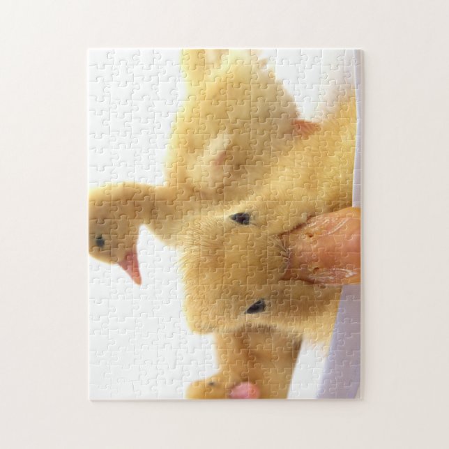 funny duck  jigsaw puzzle (Vertical)