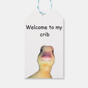 Funny Duck Meme – “Welcome to My Crib” Cute Animal Gift Tags