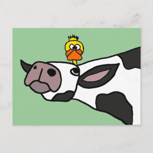 Funny Duck on a Cow Cartoon Postcard
