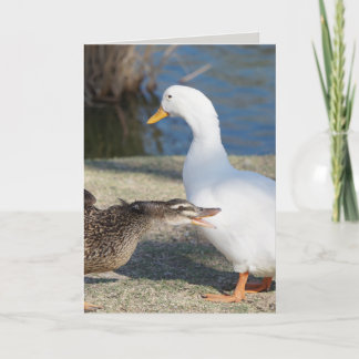 Funny Ducks Father's Day Card