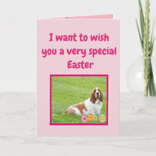 Funny Easter Cards w/Basset Hound in "Bunny Suit"