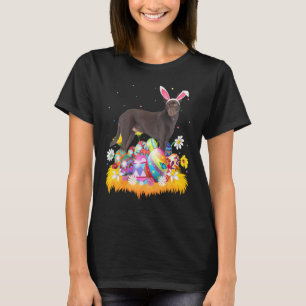 Funny Easter Egg Kelpie Dog Easter Sunday T-Shirt