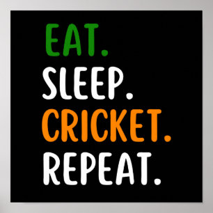 Funny Eat Sleep Cricket Repeat Poster