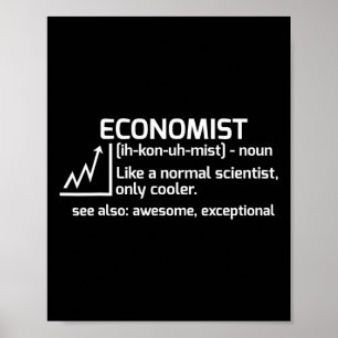 Funny Economist Definition Economics Science Gift  Poster