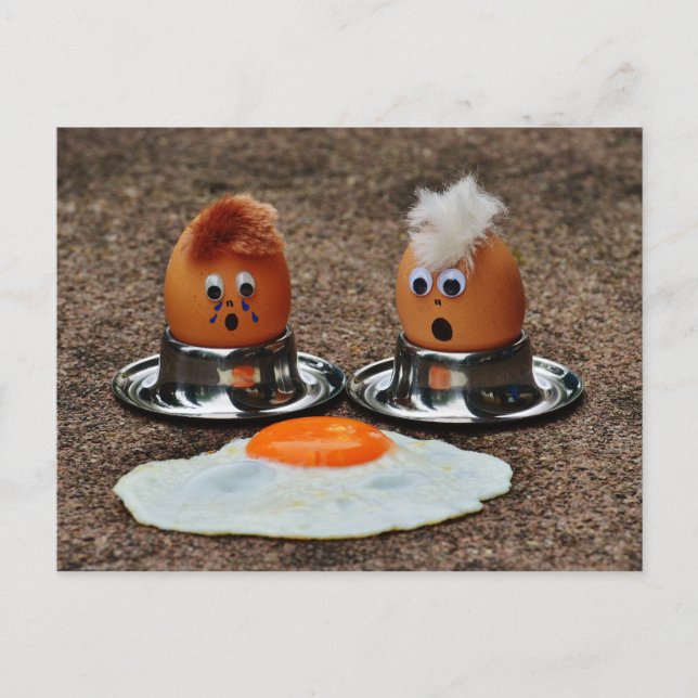 Funny eggs postcard (Front)