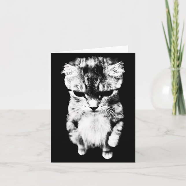 Funny El Gato Sad Kitten Meme Card (Front)