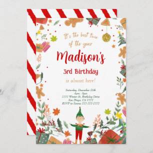 Funny Elf Birthday Party Invitation