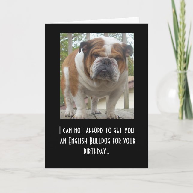 Funny English Bulldog Birthday Card (Front)