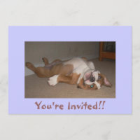 Funny English Bulldog Invitations