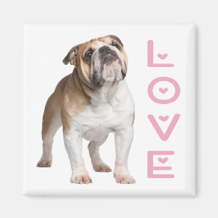 Funny English Bulldog Mom Love Puppy Dog  Magnet