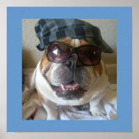 Funny English Bulldog Poster