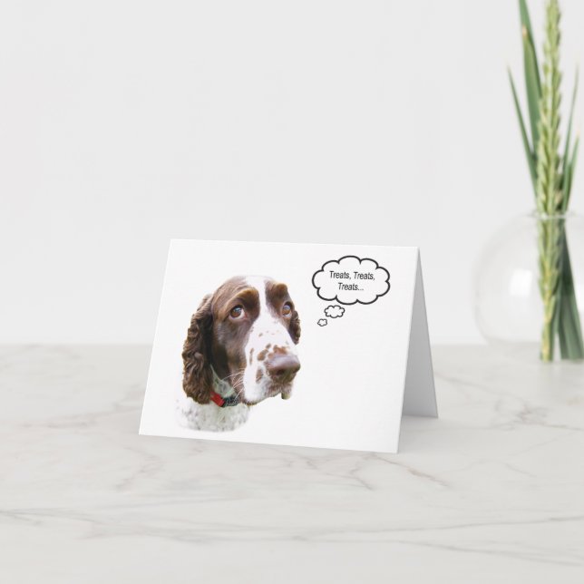 Funny English Springer Spaniel Treat Card (Front)