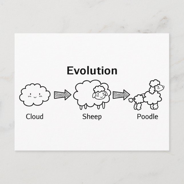 Funny evolution of cloud into sheep and poodle postcard (Front)
