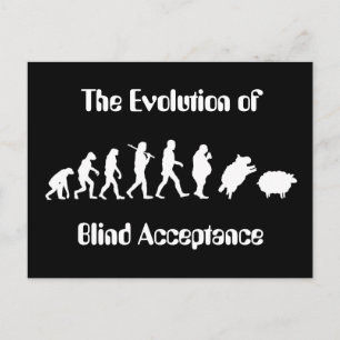 Funny Evolution of Man Parody Postcard