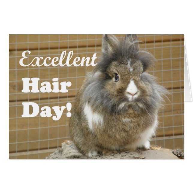 Funny "Excellent Hair Day" for Rabbit (Front Horizontal)