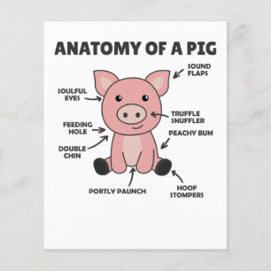 Funny Explanation Of A Pig's Anatomy