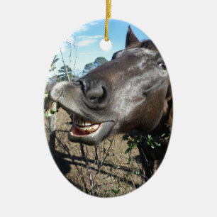 Funny Face brown horse Ceramic Tree Decoration