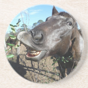 Funny Face brown horse Coaster
