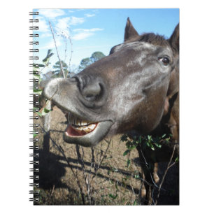 Funny Face brown horse Notebook