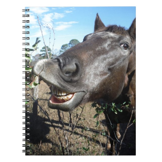 Funny Face brown horse Notebook (Front)