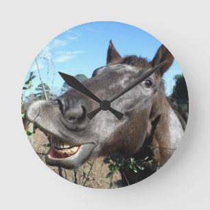 Funny Face brown horse Round Clock