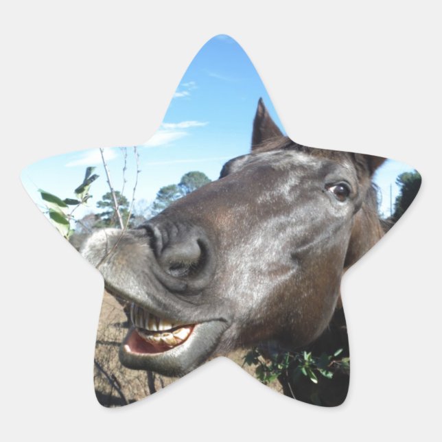 Funny Face brown horse Star Sticker (Front)