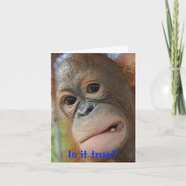 Funny Face Graduation Congratulations Card (Front)