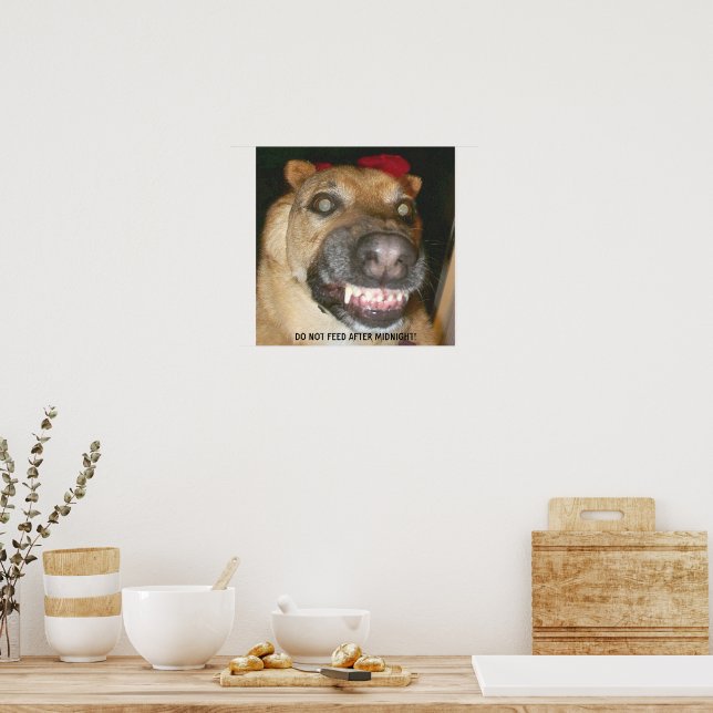 Funny Face GSD Dog Do Not Feed After Midnight Poster (Kitchen)