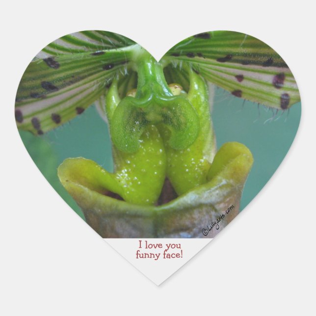 Funny  Face Slipper Orchid Heart Sticker (Front)