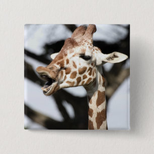 Funny faced reticulated giraffe, San Francisco 15 Cm Square Badge
