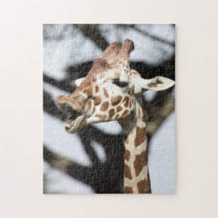 Funny faced reticulated giraffe, San Francisco Jigsaw Puzzle