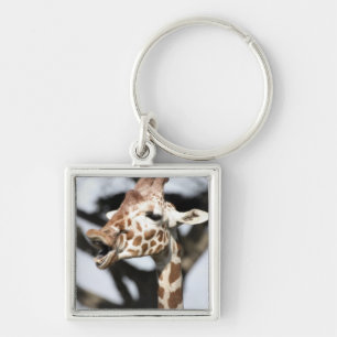 Funny faced reticulated giraffe, San Francisco Key Ring