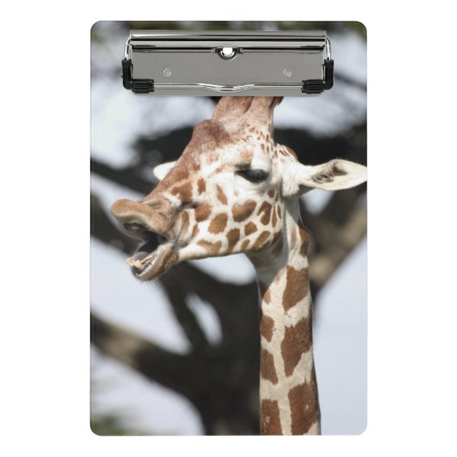 Funny faced reticulated giraffe, San Francisco Mini Clipboard (Front)