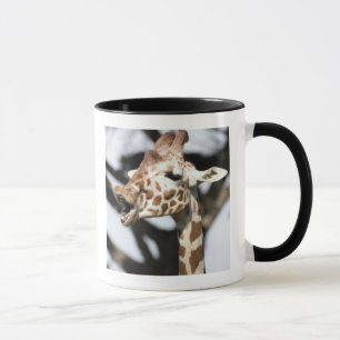 Funny faced reticulated giraffe, San Francisco Mug