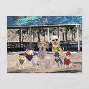 Funny Family Reunion Invitation Postcard