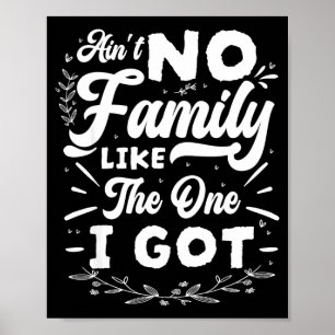 Funny Family Vibes Family Reunion Poster