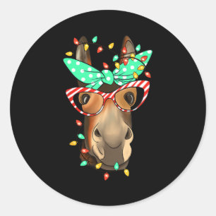 Funny Farmer Women Girls Family Christmas Classic Round Sticker