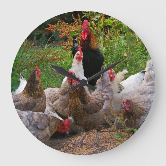 Funny Farmyard Chickens Hens & Rooster Clock (Front)